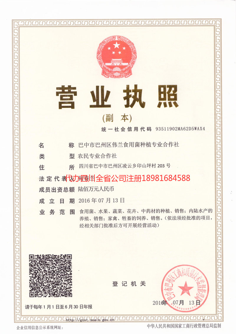 金牛金牛伟兰食用菌种植专业合作社