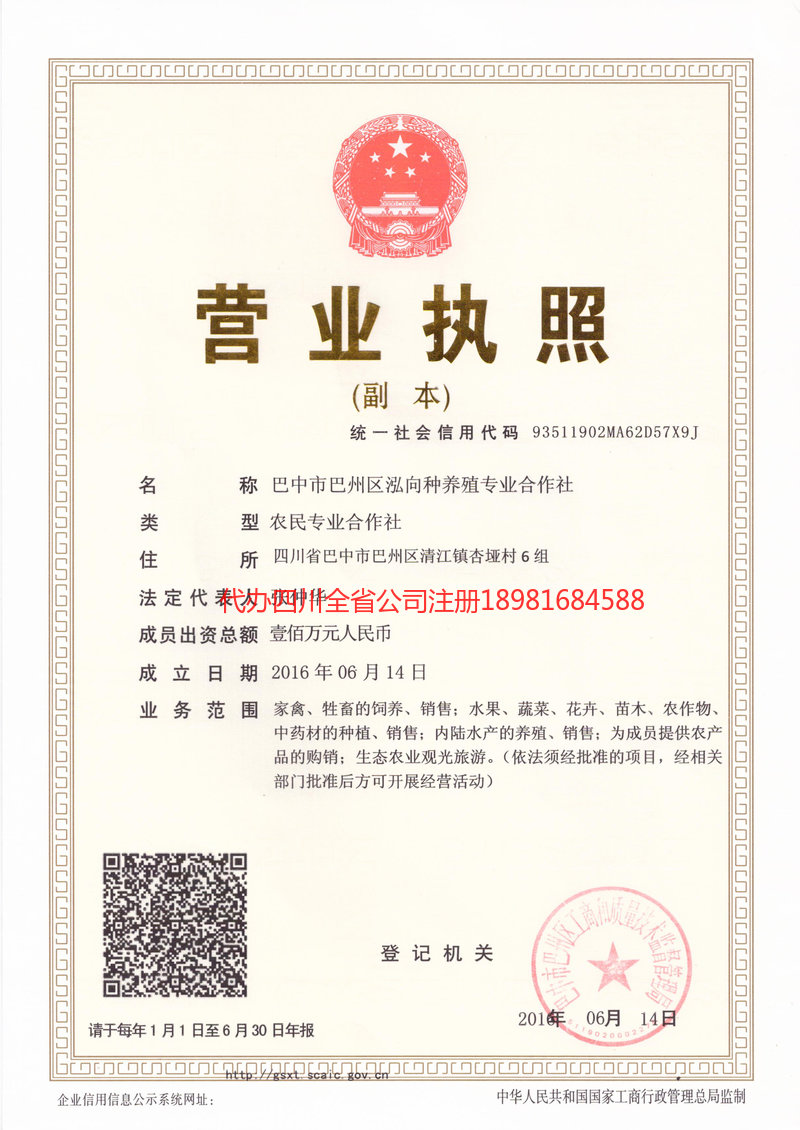 金牛金牛泓向种养殖专业合作社