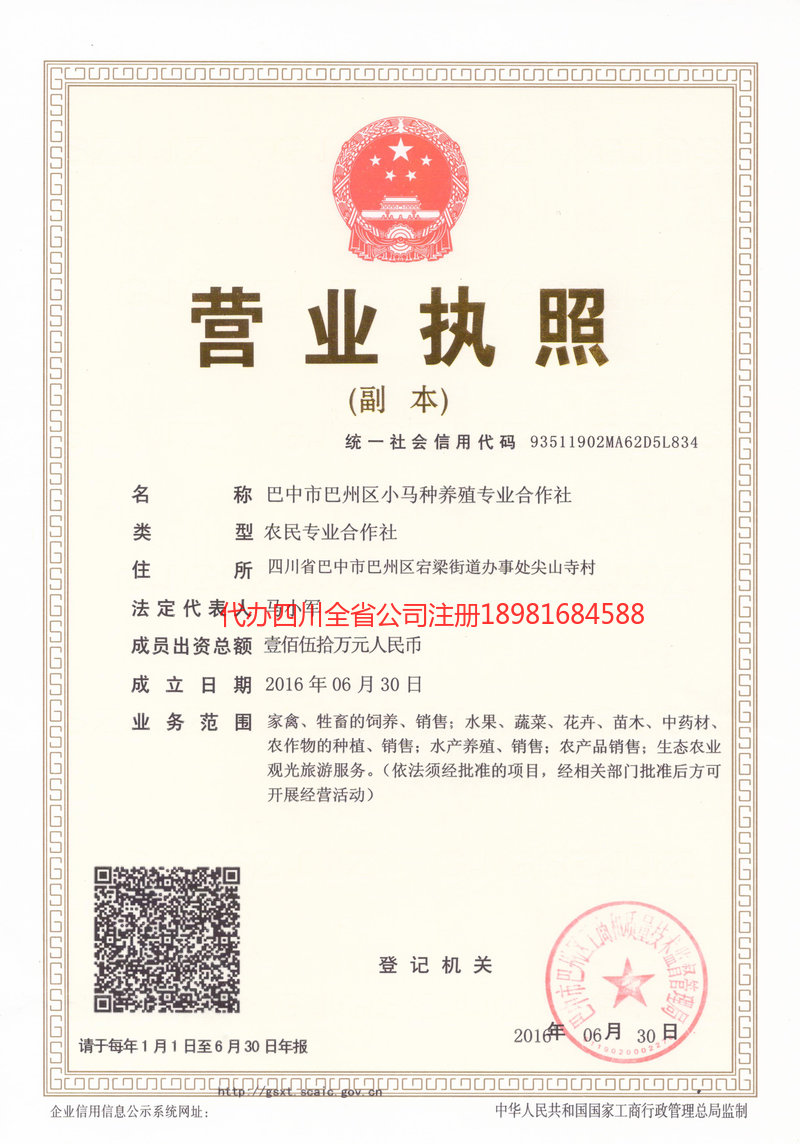 金牛金牛小马种养殖专业合作社